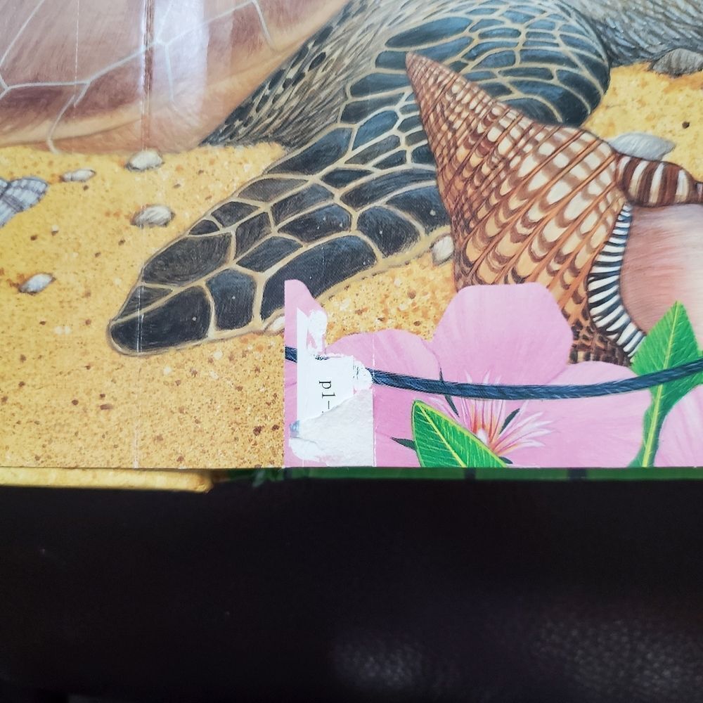 Sounds of the Wild Seashore Book - Picture 3 of 7